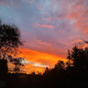 Meet your Posher, Crista